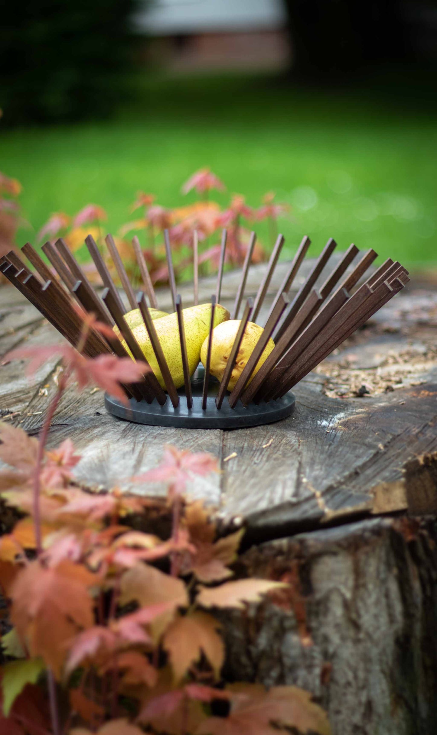 Sally Obstschale (Nussbaum/Anthrazit)